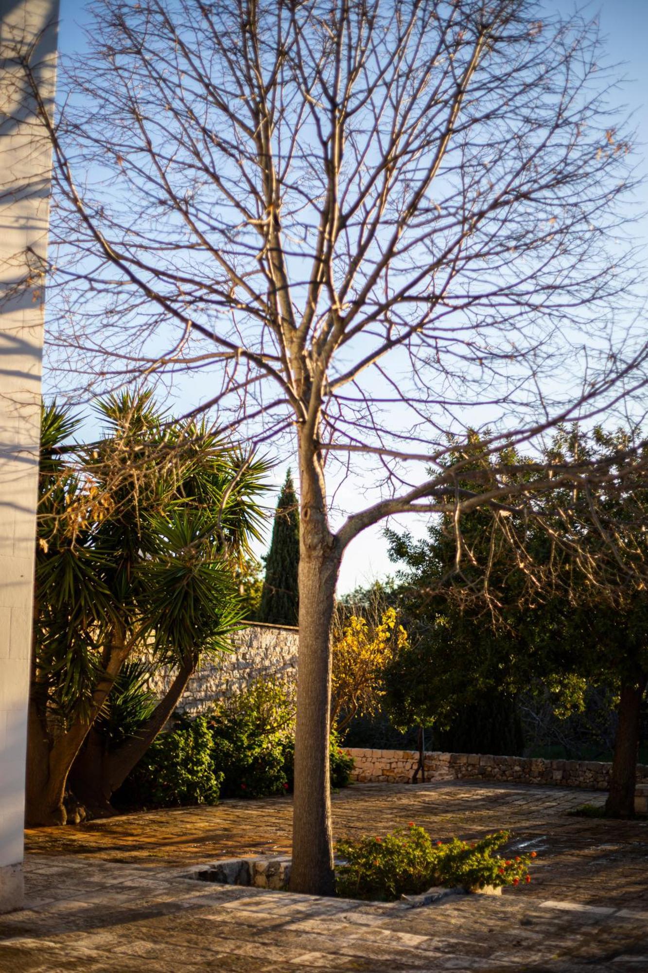 Masseria Del Crocifisso โปลีญาโนอามาเร ภายนอก รูปภาพ