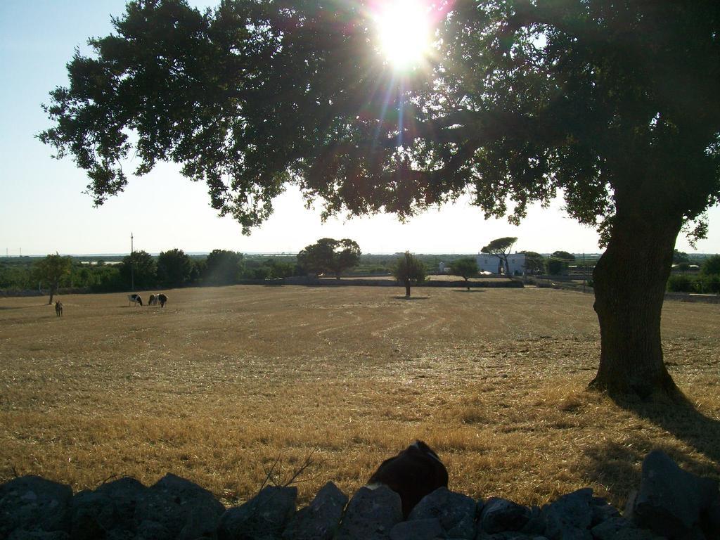 Masseria Del Crocifisso โปลีญาโนอามาเร ภายนอก รูปภาพ