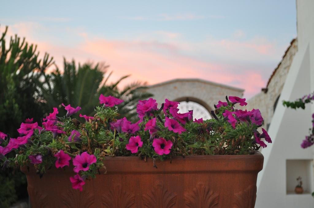 Masseria Del Crocifisso โปลีญาโนอามาเร ภายนอก รูปภาพ