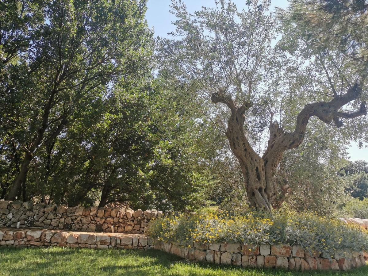 Masseria Del Crocifisso โปลีญาโนอามาเร ภายนอก รูปภาพ